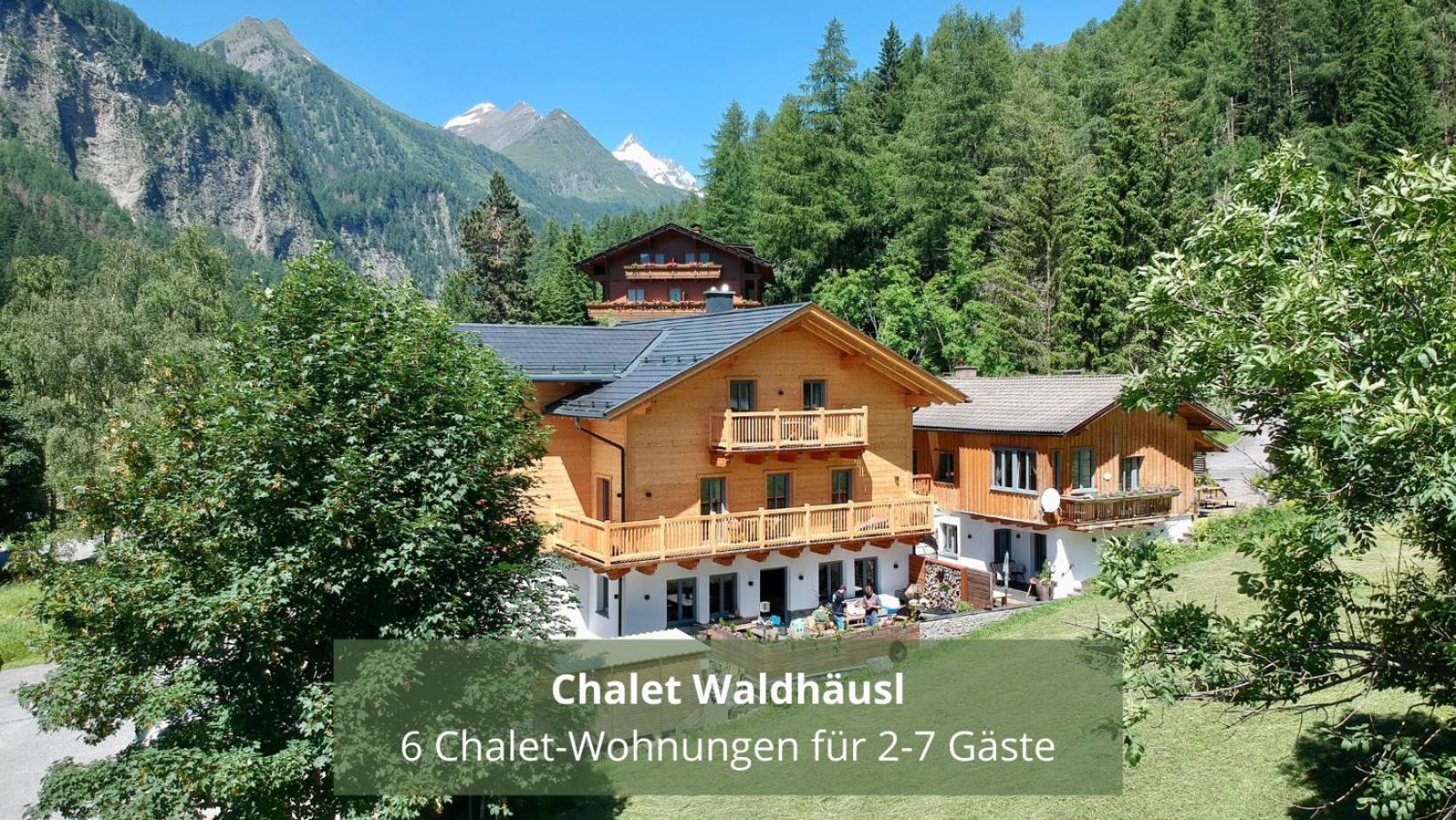 Chalet Waldhaeusl Luxurioese Ferienwohnungen Mit Sauna & Whirlpool, Kamin, Balkon Oder Terrasse Mit Bergblick Heiligenblut Extérieur photo