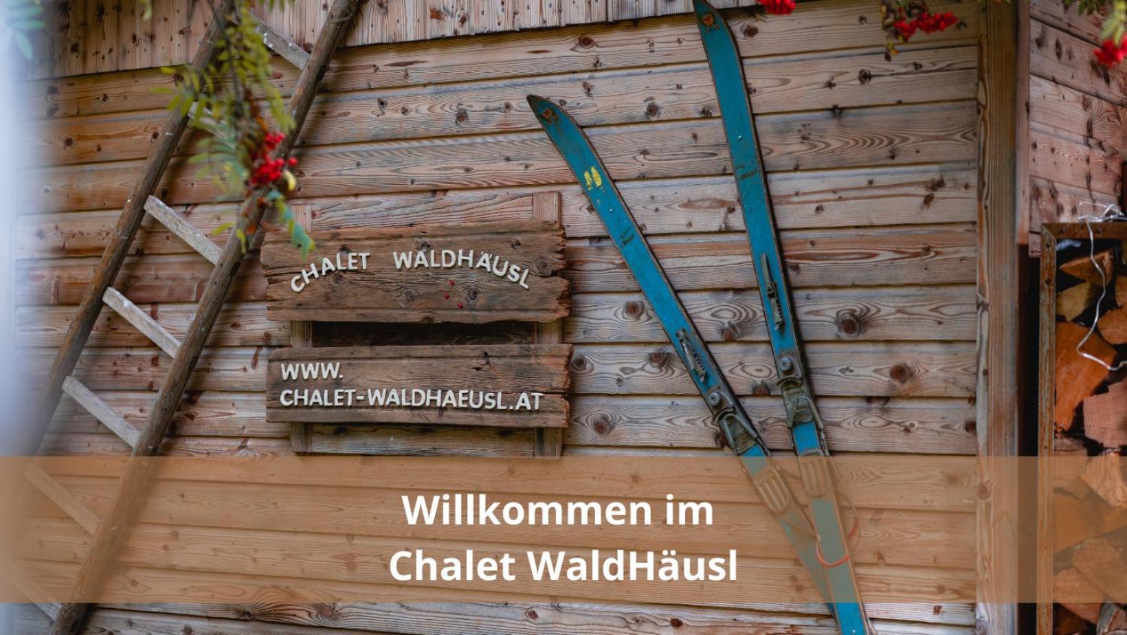 Chalet Waldhaeusl Luxurioese Ferienwohnungen Mit Sauna & Whirlpool, Kamin, Balkon Oder Terrasse Mit Bergblick Heiligenblut Extérieur photo